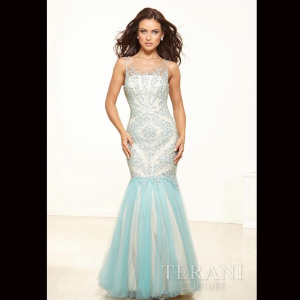 Terani couture prom dress for sale, size 2!!